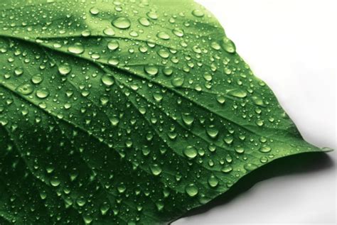herbalife philadelphia|TOP 10 BEST Herbalife in Philadelphia, PA .